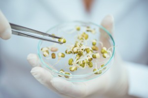 ogm软件下载，ogm软件免收费下载安装