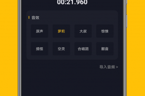变声器免费版官方版游戏下载，变声器免费版安卓游戏下载