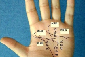 百发百中手相流年图算命(图解)下载，百发百中手相流年图算命(图解)免收费下载安装
