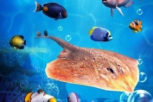 享越疯狂钓鱼下载，享越疯狂钓鱼免收费下载安装