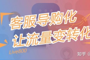 Live800在线客服系统下载，Live800在线客服系统免收费下载安装