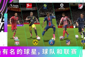 FIFA世界足球2009 手机版官方版游戏下载，FIFA世界足球2009 手机版安卓游戏下载