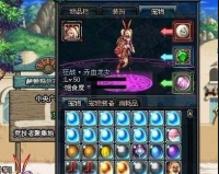 dnf宠物饲料_dnf哪里能嫖宠物饲料