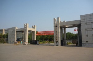 高考君官方版游戏下载，高考君安卓游戏下载
